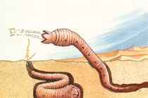 Rùng rợn sâu tử thần giết người bằng luồng điện siêu mạnh