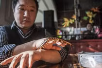 Kinh hoàng trai trẻ chơi với toàn “sát thủ” động vật