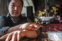 Kinh hoàng trai trẻ chơi với toàn “sát thủ” động vật