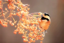 Dự đoán ngày mới 28/02/2018 cho 12 con giáp