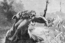 Kỳ dị quái thú mặt chó, ăn thịt người