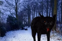 Tận mắt hóa thạch nghi chó ngao ma huyền thoại TG