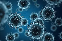 9 người tử vong do cúm lợn H1N1 ở Maroc