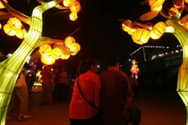 Nóng bừng bừng thị trường thuê...người yêu chơi Tết ở Trung Quốc