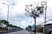 TPHCM: Tìm nhà thầu thực hiện duy tu đường tại xã Lê Minh Xuân