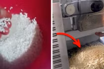 7 loại thực phẩm bị làm giả nhiều nhất trên thế giới, chị em nội trợ nên cẩn trọng