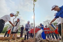 Toyota Việt Nam ươm mầm cây xanh tại không gian trường học