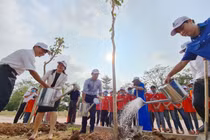 Toyota Việt Nam ươm mầm cây xanh tại không gian trường học