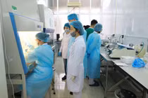 Ngoài thương vụ máy XN COVID-19, Cty Y tế Việt trúng bao nhiêu gói thầu ở Quảng Ninh?