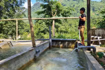 Nhiều hồ nuôi ở Việt Nam bỏ hoang, nông dân khốn đốn vì cá tầm Trung Quốc giá rẻ