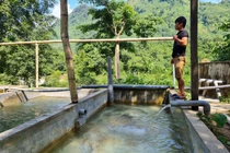 Nhiều hồ nuôi ở Việt Nam bỏ hoang, nông dân khốn đốn vì cá tầm Trung Quốc giá rẻ