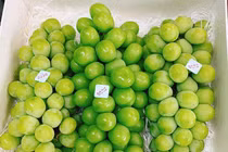 Nho sữa Hàn Quốc 1,2 triệu/kg, mỗi tuần nhập 3 tấn không đủ bán