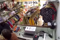 Video: Vờ mua đồ, nam thanh niên rút dao đâm nhân viên cướp tiền, vàng