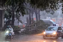 Hà Nội đón cơn mưa đầu của siêu bão, cây gãy đè chết người