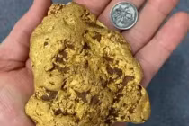 Đi lang thang, bất ngờ nhặt được cục vàng 1,4 kg