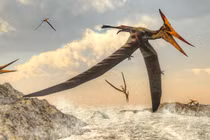 Bất ngờ cách loài thằn lằn bay khổng lồ thời tiền sử cất cánh