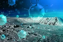 Băng vĩnh cửu tan, sinh vật 40.000 năm hồi sinh có đáng sợ?