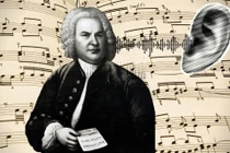 Nhạc của Sebastian Bach giúp tiết lộ những vùng não bị lão hóa