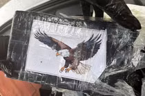 Đi thuyền trên biển, người dân vớt được thứ trị giá 24,6 tỷ 