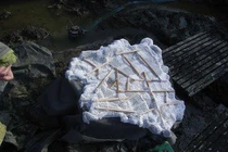 Giỏ trứng 1700 tuổi tiết lộ thông tin quý về thời La Mã cổ