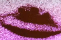 Bí ẩn UFO giết chết các loài chim, khiến trẻ em sợ hãi