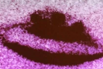 Bí ẩn UFO giết chết các loài chim, khiến trẻ em sợ hãi