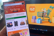Temu có giành được thị phần trước Lazada, Shopee, TikTok shop?
