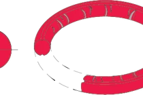 Kinh ngạc robot siêu nhỏ hình khuyên có thể di chuyển trong chất nhầy