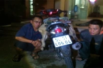 2 cẩu tặc đang câu trộm chó bị hiệp sĩ SBC tóm gọn