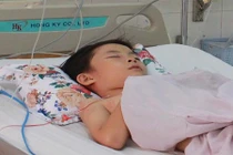 Bị ong vò vẽ đốt tới tấp, hai học sinh nguy kịch