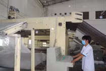 Nệm cao su Việt Nam chinh phục thị trường ngoại