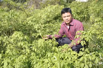 “Cao thủ” chữa thấp khớp dưới chân núi Hoàng Liên