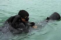 ​Trung Quốc khoe thử thành công robot chống người nhái Việt Nam