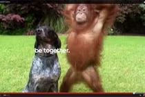 Đoạn video ngắn về Android gây sốt 