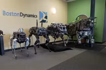 Google trình làng chó robot