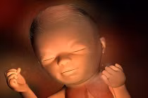 Cận cảnh bé yêu trong bụng mẹ tháng thứ 6