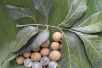 Món ăn, bài thuốc trị chứng đái dầm ở trẻ nhỏ