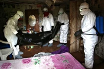 Ebola: Tìm thấy 17 bệnh nhân bỏ trốn, nỗ lực tìm thuốc