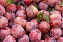 Top hoa quả mùa hè khiến da mặt bạn nổi mụn