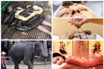 10 kiểu massage độc nhất vô nhị trên thế giới