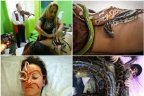 Rùng mình xu hướng massage trăn, rắn trên thế giới