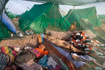 Những dịch bệnh khủng khiếp không kém Ebola ở châu Phi