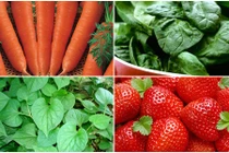 Thực phẩm nên ăn nhiều khi bị đau mắt đỏ