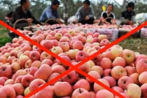 Top 10 thực phẩm Trung Quốc nên tránh xa