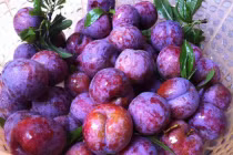 12 loại quả mùa hè có thể gây hại cho bà bầu