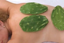 Kỳ lạ massage dưỡng da bằng cây xương rồng