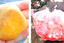 Thương lái Trung Quốc kéo về Kon Tum thu mua đá