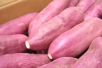 9 thực phẩm chế ngự cơn thèm ăn khi giảm cân