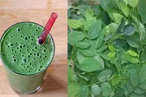 Tác dụng tuyệt vời của rau ngót với sản phụ 