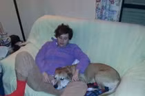 Tây Ban Nha: Giết cả chó để ngăn chặn Ebola